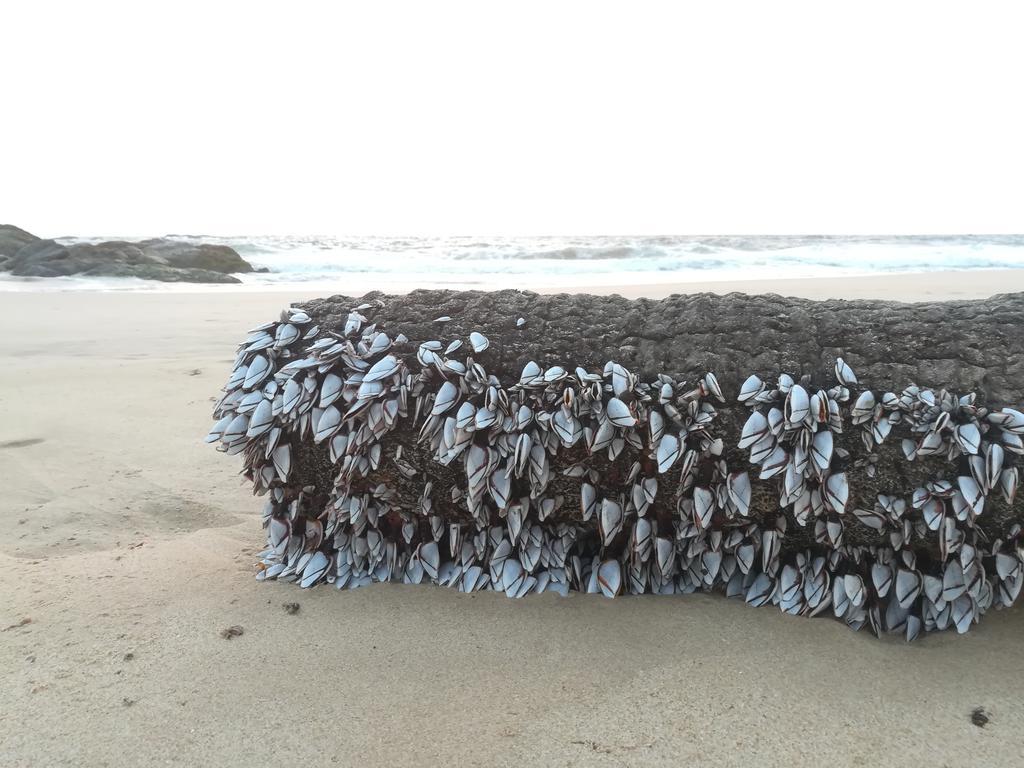 Sunrise Beach Inn 安伯朗戈德 外观 照片