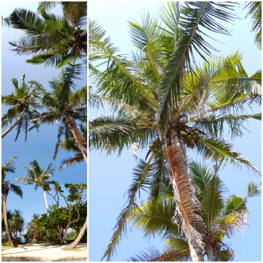 Sunrise Beach Inn 安伯朗戈德 外观 照片